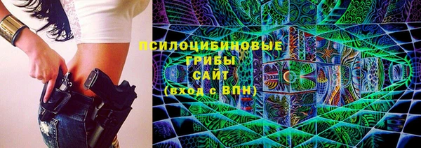 apvp Аркадак