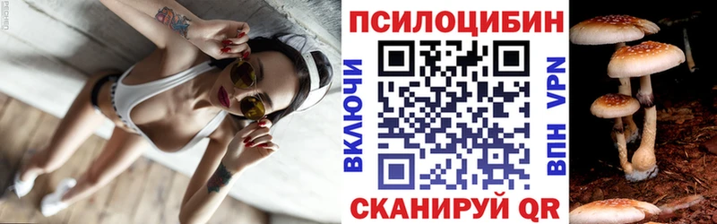 это какой сайт  Кольчугино  Псилоцибиновые грибы прущие грибы 