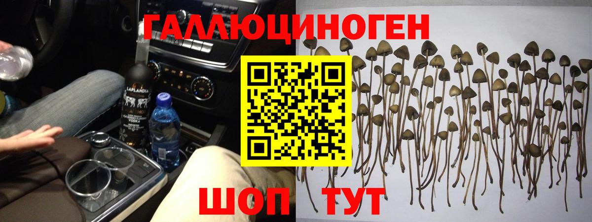 ТГК  Кольчугино  Марихуана  Мефедрон кристаллы  ГАШ  Гашиш  Вход с VPN  А ПВП СК кристаллы  Экстази 