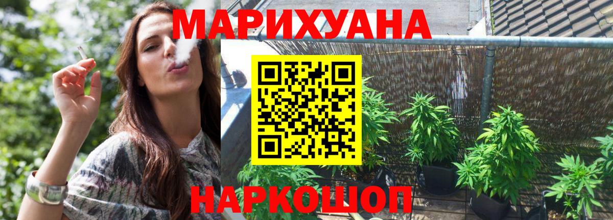 Бошки Шишки конопля Кольчугино